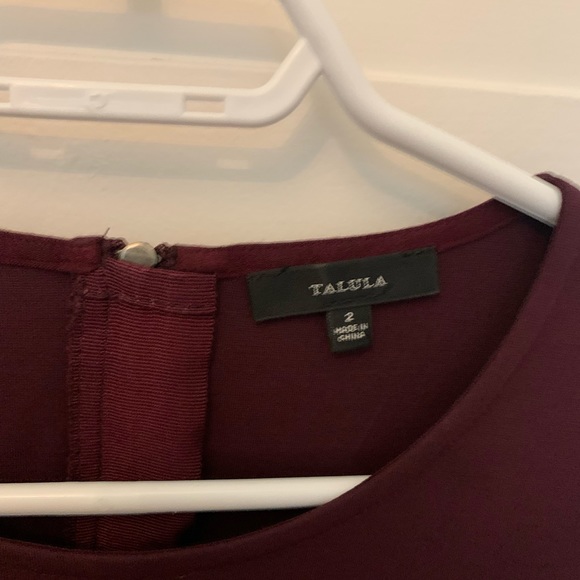 Aritzia Talula Tartine Long Sleeve Purple Dress with Pockets and Exposed Zipper - Picture 6 of 6